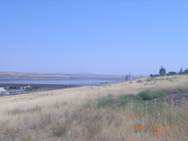 Photo not available